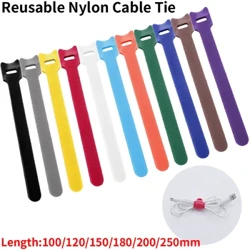 30pcs/100pcs Fa'asa'oloto Uaea Nonoa Palasitika Nylon Hook Loop Afifi Sipi Fusi Fa'amau Fa'amau Fa'apipi'i Fa'atonu Uaea T-ituaiga