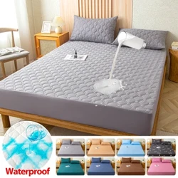 Waterproof Cotton Fitted Bed Sheet Anti-mite Mattress Protector Soft Breathable Mattress Cover Queen Fitted Sheet  Washable