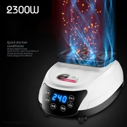 Elektriskais drēbju žāvētājs pārnēsājams ātri žūstošs apģērbs apavi Negatīvā jona sildītājs žāvētājs mašīna siltā gaisa tālvadības pults 220V