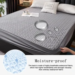 Verdickte Kotteng Blat Set Waasserdicht All-inklusiv Bett Blat Staubdicht a waasserdicht Bettdecke Single Matratz Protector