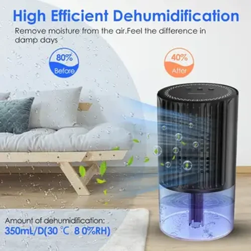 Piccolo deumidificatore YP2119 per uso domestico Deumidificatore silenzioso a prova di umidità per ufficio seminterrato camera da letto