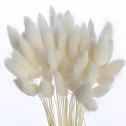 Hương thơm không lửa Phòng khách Hương thơm thủ công Máy khuếch tán dễ bay hơi Gậy Hoa khô Hương thơm vĩnh cửu