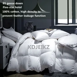 KDJEIKZ Gyş pagta gazy düşek Bäş ýyldyzly myhmanhana “Duvet Super Soft Fluffy Queen Queen” doly ölçeg Dört möwsüm Duvets ýorgan