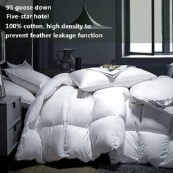 Chăn bông ngỗng mùa đông Duvet khách sạn năm sao Chăn bông siêu mềm Queen King chăn lông vũ Duvet bốn mùa kích thước đầy đủ