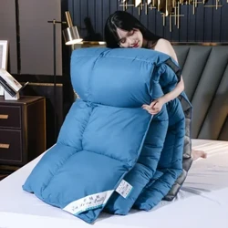 Neie Wanter Thicken Warm Gänsedown Tréischterin Quilt Decken Zwilling / Voll / Kinnigin / Kinnek Voll Gréisst Enten Down Füllduvet fir Heem Hotel