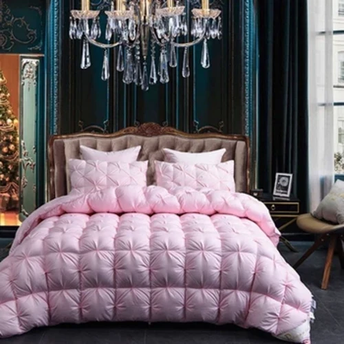 Couette en duvet solide avec duvet d'oie blanche, couette de printemps et d'automne épaissie pour garder au chaud l'hiver, noyau de couette simple et Double