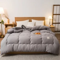 Microfiber Spring and Autumn Comforter Super Soft Warm Thickened Winter Comforter Moe No nā mākua a me nā kamaliʻi Duvets hooilo,
