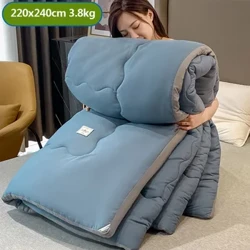 Microfiber Spring and Autumn Comforter Super Soft Warm Thickened Winter Comforter Moe No nā mākua a me nā kamaliʻi Duvets hooilo,