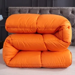 Gé Téamh Geimhridh Nua Téamh Dúin Brat Cuilte Comforter Cúpla/lán/banríon/rí Lánmhéid Lacha Dúin Ag líonadh Duvet don Óstán Baile