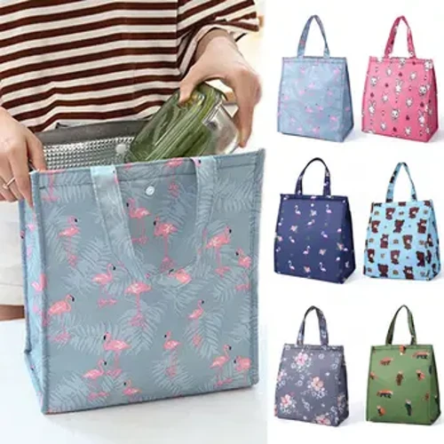 Blwch Cinio Oerach Ffasiwn 2022 Bag Cinio Cynfas Cludadwy wedi'i Inswleiddio Bag Cinio Bwyd Thermol Picnic Tote Bag Oerach Bagiau Cinio i Blant Merched