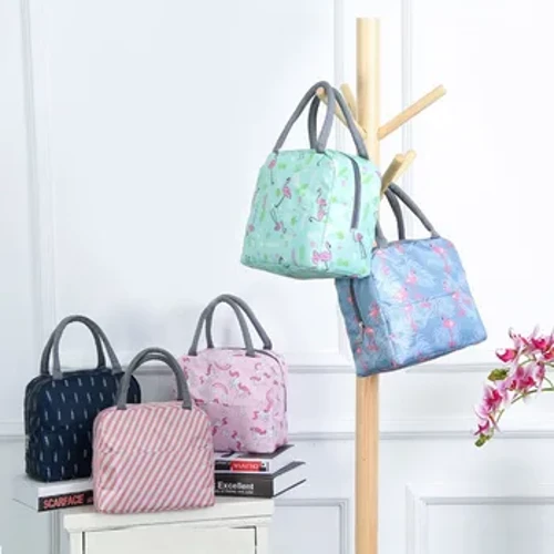 Bag Cinio Handle Inswleiddio bag oerach ar gyfer Merched kid Bocs Cinio picnic teithio Cludadwy Bwyd Storio Brecwast Bag Bwyd Thermol