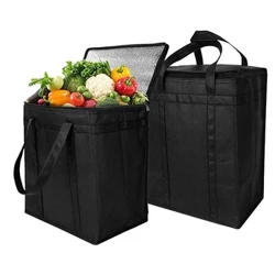 Functionele Koele Koeltas Thermische Lunchbox Met Hoge Capaciteit Tas Auto Draagtas Geïsoleerde Tas Voor Picknick Camping Drank Opbergdoos