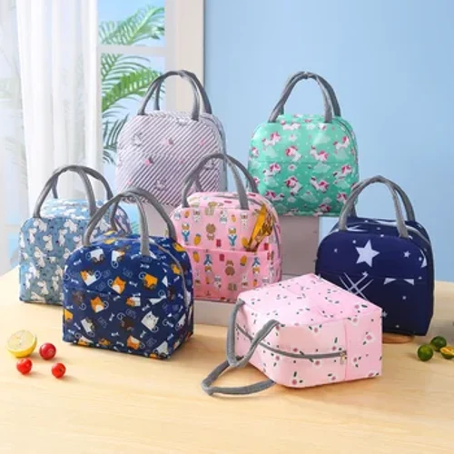 Màu Sắc Mới Túi Đựng Hộp Cơm Trưa Túi Cách Nhiệt Túi Đựng Đồ Ăn Trưa Di Động Sinh Viên Công Nhân Với Bữa Ăn Dày Túi Giấy Nhôm