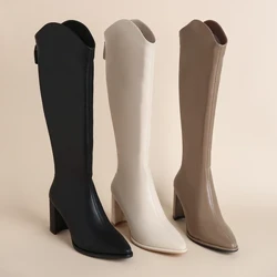Plus Size 34-43 Mới Giày Bốt Nữ Dây Kéo Dày Giày Cao Gót Đơn Giản Dày Giày Cao Gót Thu Đông Giày Bốt Cao Đến Đầu Gối botas