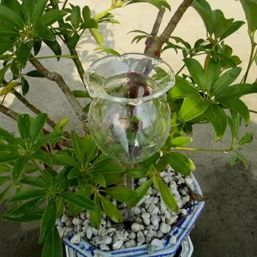 Tubig Awtomatikong Transparent Waterer Paghahalaman Pagdidilig sa loob ng Awtomatikong Bulaklak Salamin Hardin Plant Watering Device Sprinkler