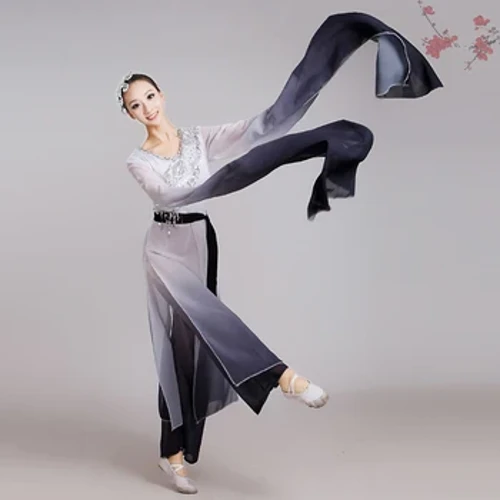 Dans popular chinezesc Costume de dans clasic Femei Maneca de apa Imbracaminte de performanta Fete Maneca lunga Costume de dans Yangko