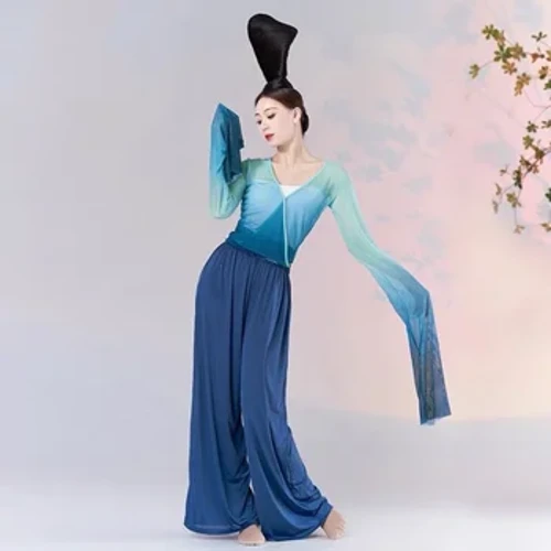 Mới Luyện Tập Khiêu Vũ Cổ Điển Phù Hợp Với Nước Tay Áo Chuyển Đổi Khiêu Vũ. Trang Phục lễ hội Thể Hiện Trang Phục Phụ Nữ Trung Quốc Quần Áo Khiêu Vũ