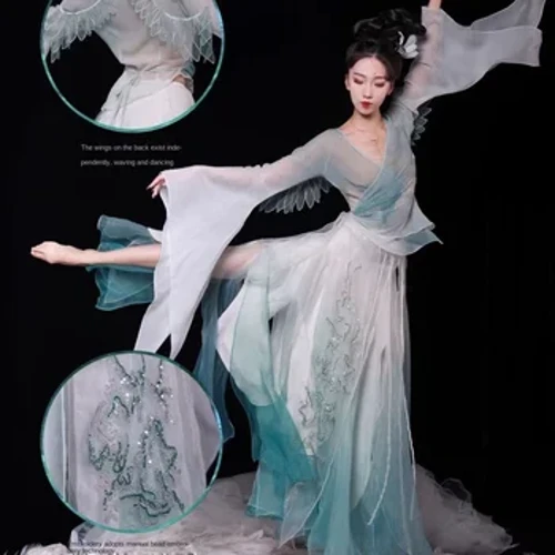 Robe de danse classique chinoise, Costumes de spectacle en maille, ailes flottantes, vêtements d'entraînement, jupe d'art Hanfu longue et élégante