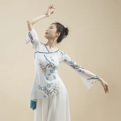 NƯỚC Múa Cổ Điển Trung Quốc Trang Phục Áo Sơ Mi Nữ Tay Dài Phối Lưới Body Vần Áo Luyện Tập Flowy Mặc Người Lớn Luyện Tập Người Phụ Nữ