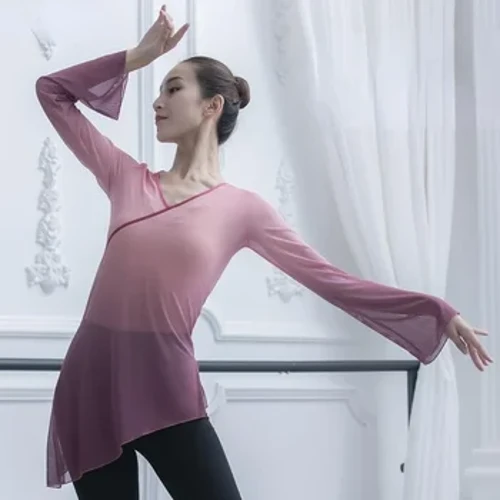 Gaze Tops Sexy Mesh Chinese Folk Danz Klassesch Hanfu Danz Kleeder Kostüm Hanfu Kleeder Traditionell Hanfu Oriental Tops