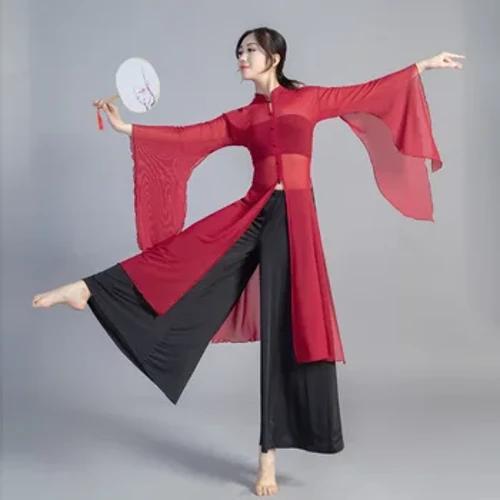 Llewys Eang Tsieineaidd Dawns Clasurol Corff Rhyme Dillad Ar gyfer Merched Gwisg Traddodiadol Tsieineaidd Hanfu Blouse Pant