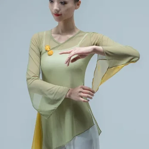Tay Loe Trưởng Thành Trang Phục Dự Tiệc Top Jazz Lưới Nhảy Hiện Đại Cổ Điển Áo Thun Nữ Latin Miếng Dán Cường Lực Dòng Đáy Quần Áo Cổ Điển