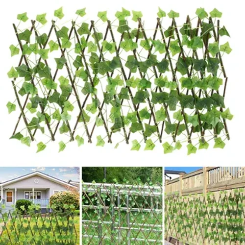 ʻO ka nānā ʻana i ka māla hou e hoʻonui ana i ka trellis pale huna huna.
