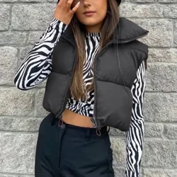 Mùa Thu Đông Nữ Ngắn Cotton Xuống Áo Ngắn Cổ Đứng Ấm Áp Không Tay Mền Chần Gòn Áo Vest Du Lịch Ngoài Trời áo Khoác Cao Cấp