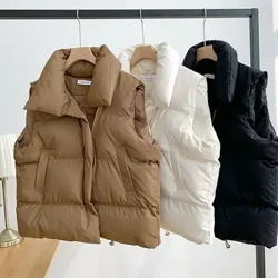 Udazkeneko Neguko Y2K txaleko emakumezkoen txaleko lodi eta beroa Harajuku jaka soltea Kanpoko arropa informala txaleko laburra Haize aurkako txaleko berokiak