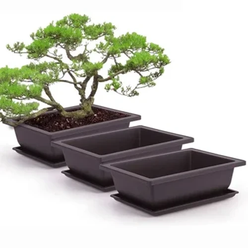 Izimbiza Zezimbali Ukulingisa Ubumba Olunsomi Izimila Ezinamanzi Izimbiza Zangaphandle Zengadi Yezwe I-Bonsai Pot Trays I-Rectangular Square Planter