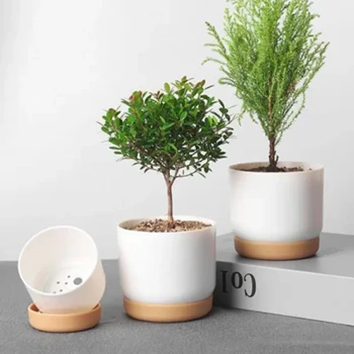 Succulent Plant Pot Double-layer Succulent Green Dill  Round Double Layer Small Green Plant Flowerpot Succulent Small Flower Pot