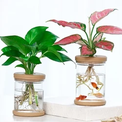 Durable Transparent Hydroponic Flower Pot Imitation Glass Soilless Planting Small Potted Green Plant Resin Flower Pot