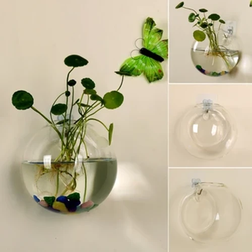 Bình Thủy Tinh Trong Suốt Treo Tường Thủy Canh Hồ Cạn Bể Cá Chậu Cây Hoa Đường Kính 8Cm/10Cm/12Cm