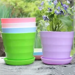 Spalvingas sodo sultingas augalas vazonas Mini plastikinis gėlių vazonas su padėklais Namų biuro dekoras Horizontalus