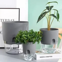 Selbstbewässerung Blummenpot Plastik Hydroponik Planzen Pot Transparent Duebelschicht Kotteng Seil Waasserung Succulent Potted Planzen