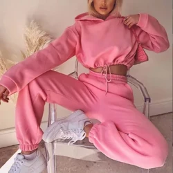 Musim Dingin Dua Potong Set Wanita Pakaian Latihan Yg Hangat Setelan Kebesaran 2023 Musim Gugur Celana Setelan Wanita Sweatshirt Solid Olahraga Hoodie Pakaian Olahraga