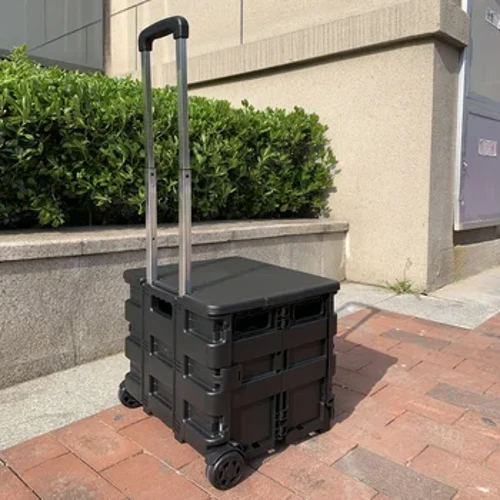 ʻO PP Mini Kaʻa Piʻi Huila Trolley Case Hand Cart no nā kāne a i ʻole nā ​​wahine huakaʻi huakaʻi hale kūʻai mea hoʻonohonoho hoʻonohonoho no ka pahu