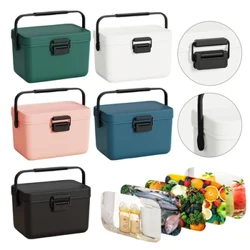 3.8L Insulated Portable Cooler with Handle Ice Chest Box Beach Cooler for Beach Picnic Camping Boating Fishing Car