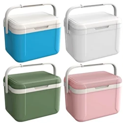 5L/6L Auto Mini Koelkast Picknick Koelkasten Warmte en Koude Behoud voor Outdoor Camping Vers Houden Koelbox picknick Tas
