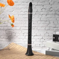 Mini Bb B Flat Klarinet Kapesní klarinet Dřevěný dechový nástroj pro začátečníky Cvičení hudebních nástrojů Příslušenství