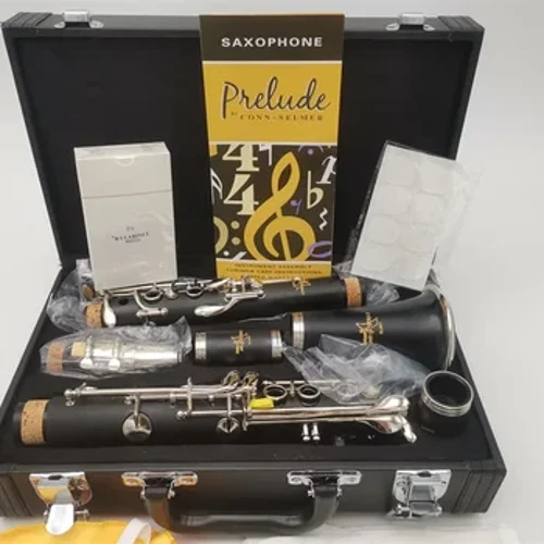 17 Key Bb Tune Bakelite Clarinet Playing Musical Instruments Clarinet with Accessories