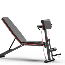 Binse Dumbbell Ilfheidhmeach Baile Fillte Muscle Muscle bhoilg Bord Supine Cathaoirleach Aclaíochta Suigh Suas Binsí