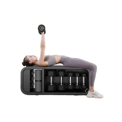 คุณภาพสูง Strength Training Multifunctional Adjustable Sit Up Dumbbell เก็บน้ำหนัก Bench