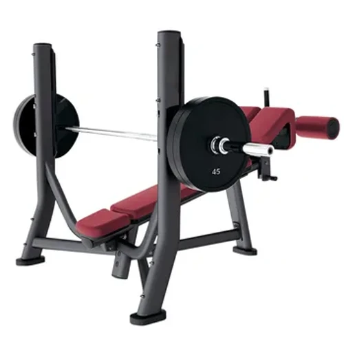 Bench Press Egzersizi Ağırlık Spor Salonu Bankları Ağırlık Kaldırma
