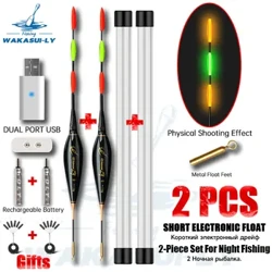 WAKASULY Novo conjunto de 2 peças flutuador de pesca noturna curto atraente flutuador de pesca em rocha com carregador de furo duplo/bateria recarregável