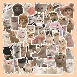 BỘ 60 Kawaii Mèo Dán PVC Hoạt Hình Dễ Thương Đề Can Đồ Chơi Văn Phòng Phẩm Đàn Guitar Điện Thoại Thẩm Mỹ Đồ Trang Trí Tủ Lạnh Cung Cấp
