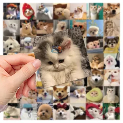 10/30/52 PZ Txakur Katua MEME Pegatina PVC Waterpoof Decals DIY Ordenagailu eramangarria Telefonoa Ekipajea Geldiko Animalia Dibertigarria Pegatina Jostailuak Opari