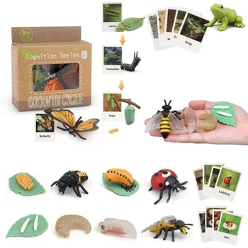 Bwrdd Cylchred Bywyd Anifeiliaid Newydd Plant Teganau Montessori Cymhorthion Addysgu Planhigion Model Beic Twf Anifeiliaid Set Teganau Gwybyddol Cyn-ysgol