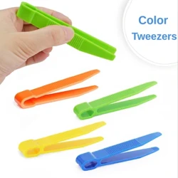 4pcs Clip Plastig Gwydn o Ansawdd Uchel Tweezers Modur Gain i Blant Bach Teganau Dysgu i Blant Set Offer Astudio Pryfed Planhigion