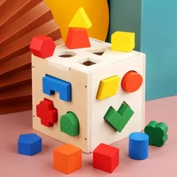 Montessori 15 zuloko adimen-kutxa Forma geometrikoak 3D puzzlea Goiz Hezkuntza Hiru dimentsiotako zurezko parekatua eraikitzeko blokea